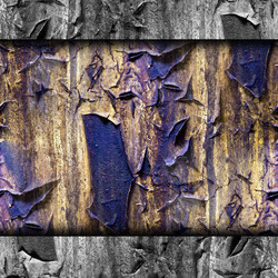 Similar image 2829242