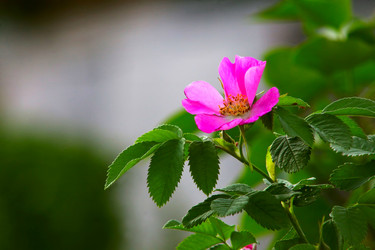 Similar image 2829247