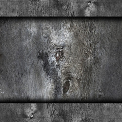 Similar image 2829284