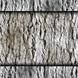 Similar image 2829288