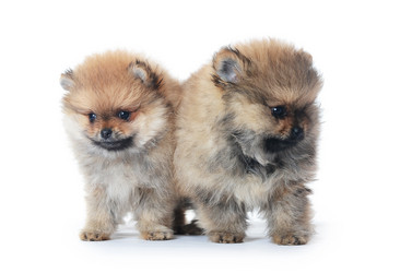 Similar image 2829315