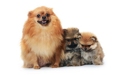 Similar image 2829326