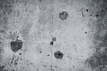 Similar image 2829477