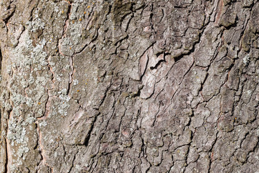 Similar image 2829484