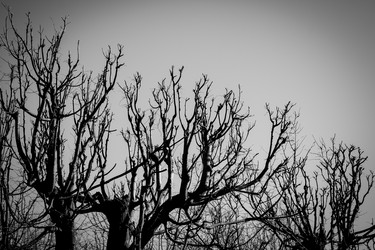 Similar image 2829486