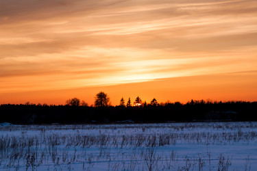 Similar image 2829488