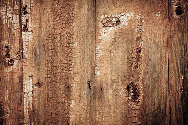 Similar image 2829503