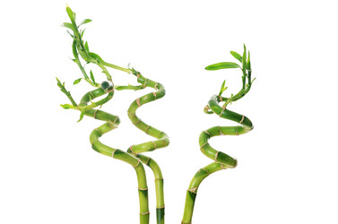 Similar image 2829523