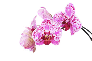 Similar image 2829534