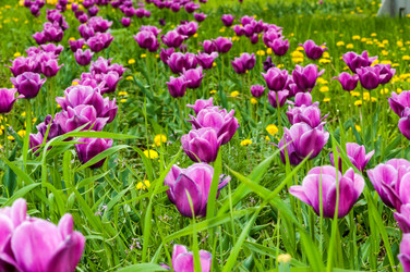 Similar image 2829546