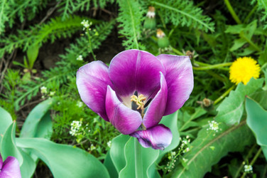 Similar image 2829549