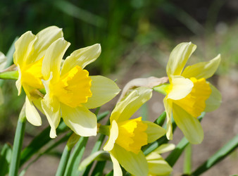 Similar image 2829655