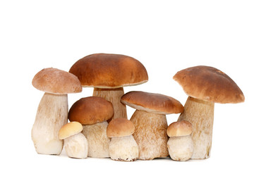 Similar image 2829738