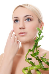 Similar image 2829782