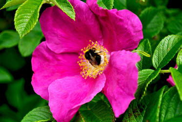 Similar image 2829931