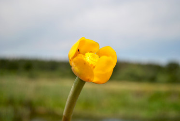 Similar image 2829933