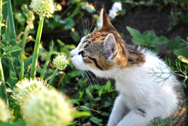 Similar image 2829934