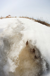 Similar image 2830689