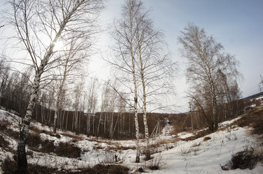 Similar image 2830726