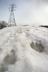 Similar image 2830728