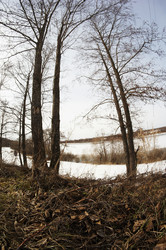 Similar image 2830731