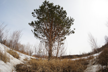 Similar image 2830732