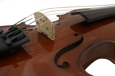 Similar image 2831083