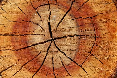 Similar image 2831113