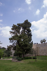 Similar image 2831292