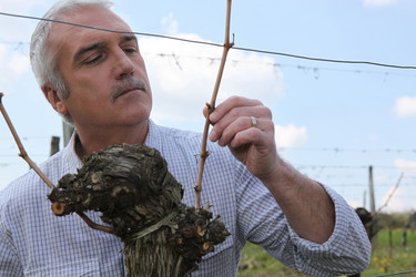 Similar image 2831335