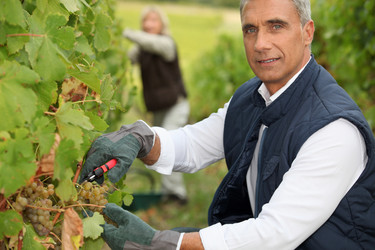 Similar image 2831346