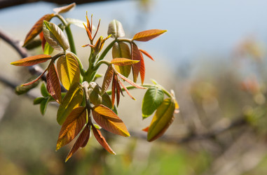 Similar image 2831510