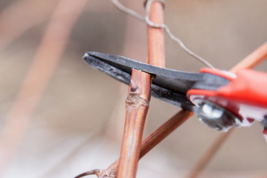 Similar image 2831511