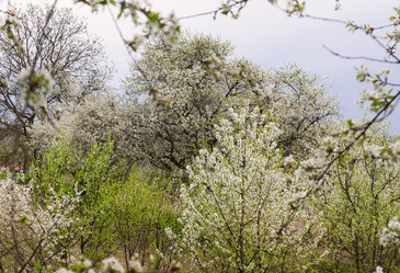 Similar image 2831512