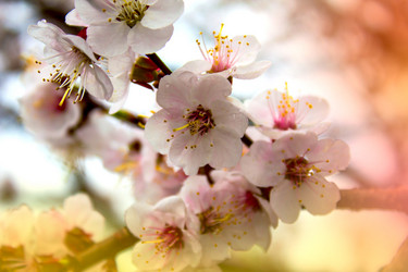 Similar image 2831538