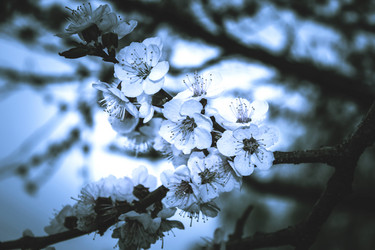 Similar image 2831565