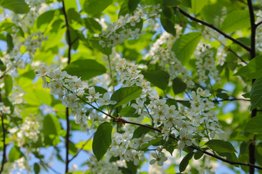 Similar image 2831578