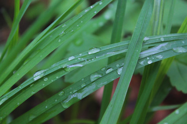 Similar image 2831579