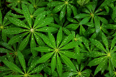 Similar image 2831585