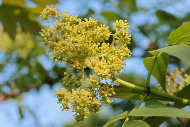 Similar image 2831586