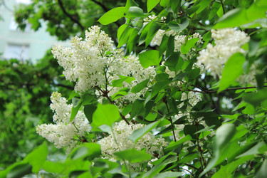 Similar image 2831600