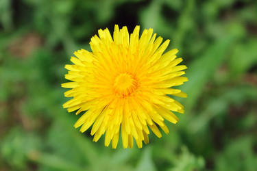 Similar image 2831601