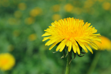 Similar image 2831602