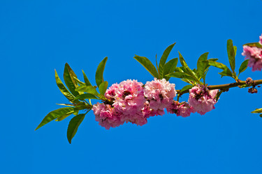 Similar image 2831648