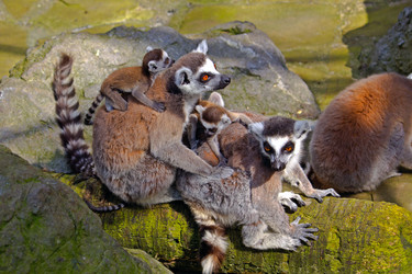 Similar image 2831651