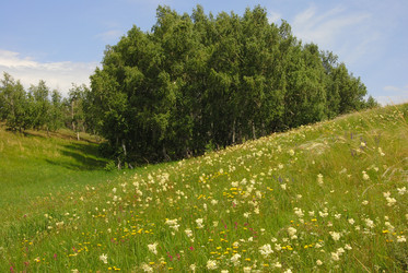 Similar image 2831668