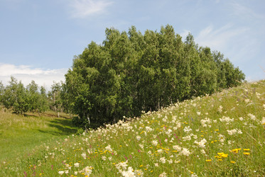 Similar image 2831669