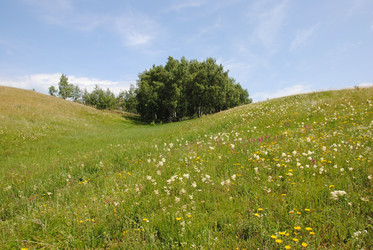 Similar image 2831670