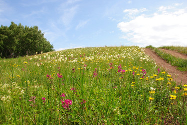 Similar image 2831671