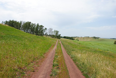 Similar image 2831672